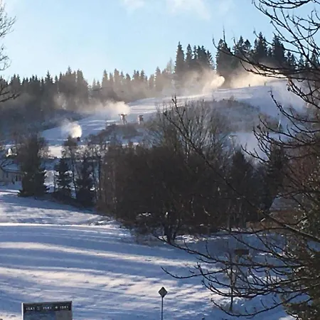 بيت ضيافة U Prazaka